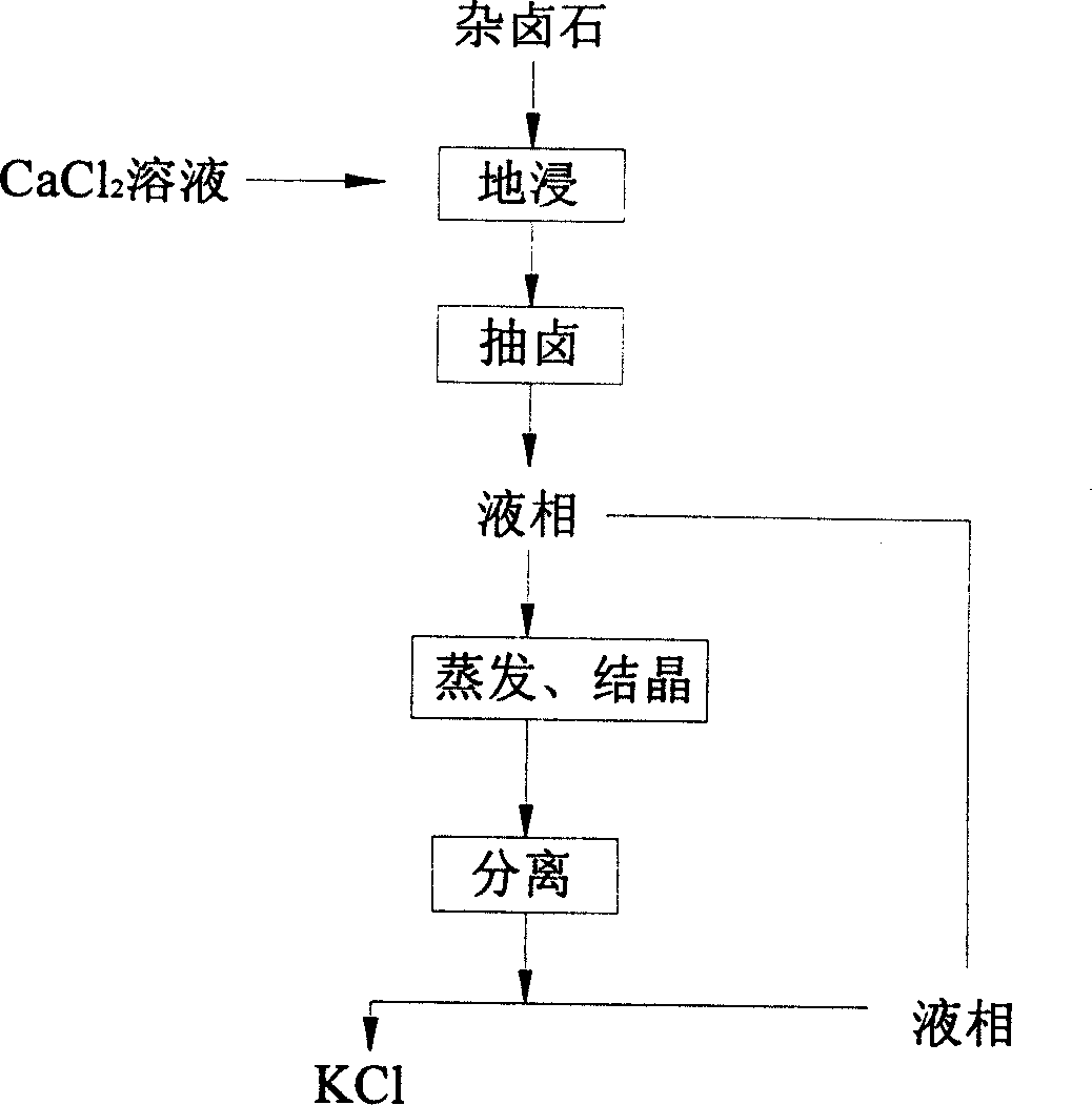 Potassium leach-out exploitation method from mamanite ore