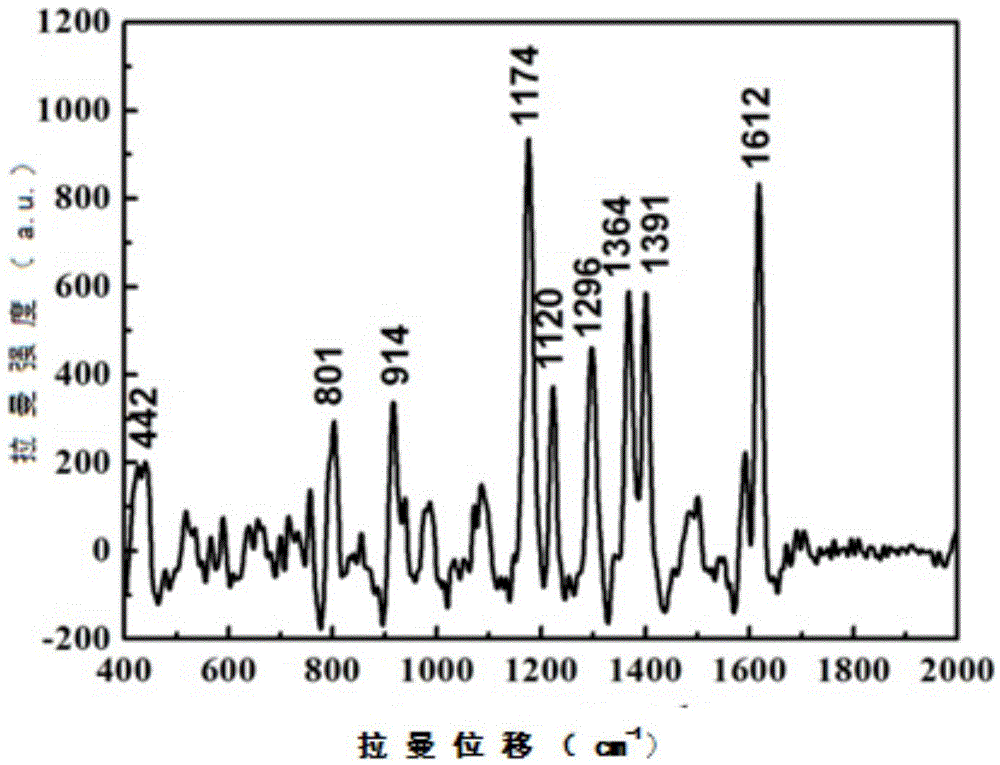 A kind of preparation method of surface-enhanced Raman substrate