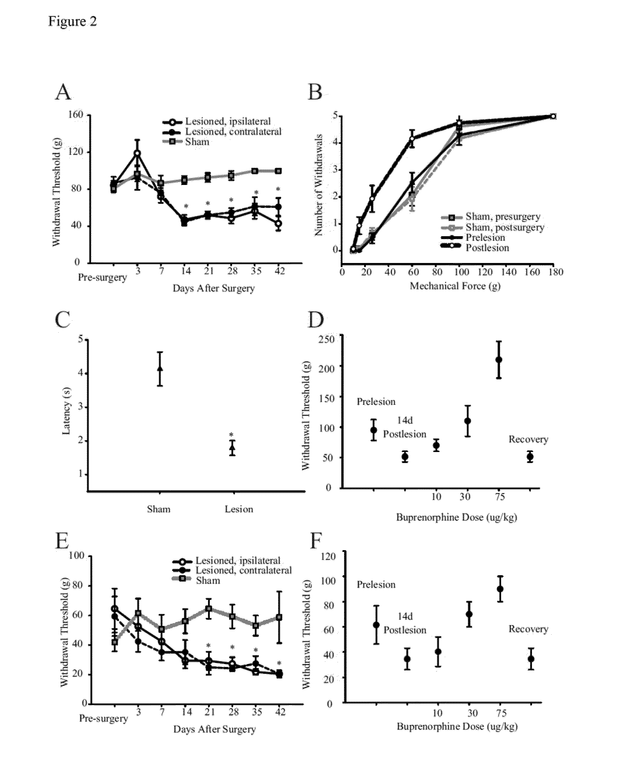 Methods for Treating Central Pain Syndrome and Other Pain Related Pathologies