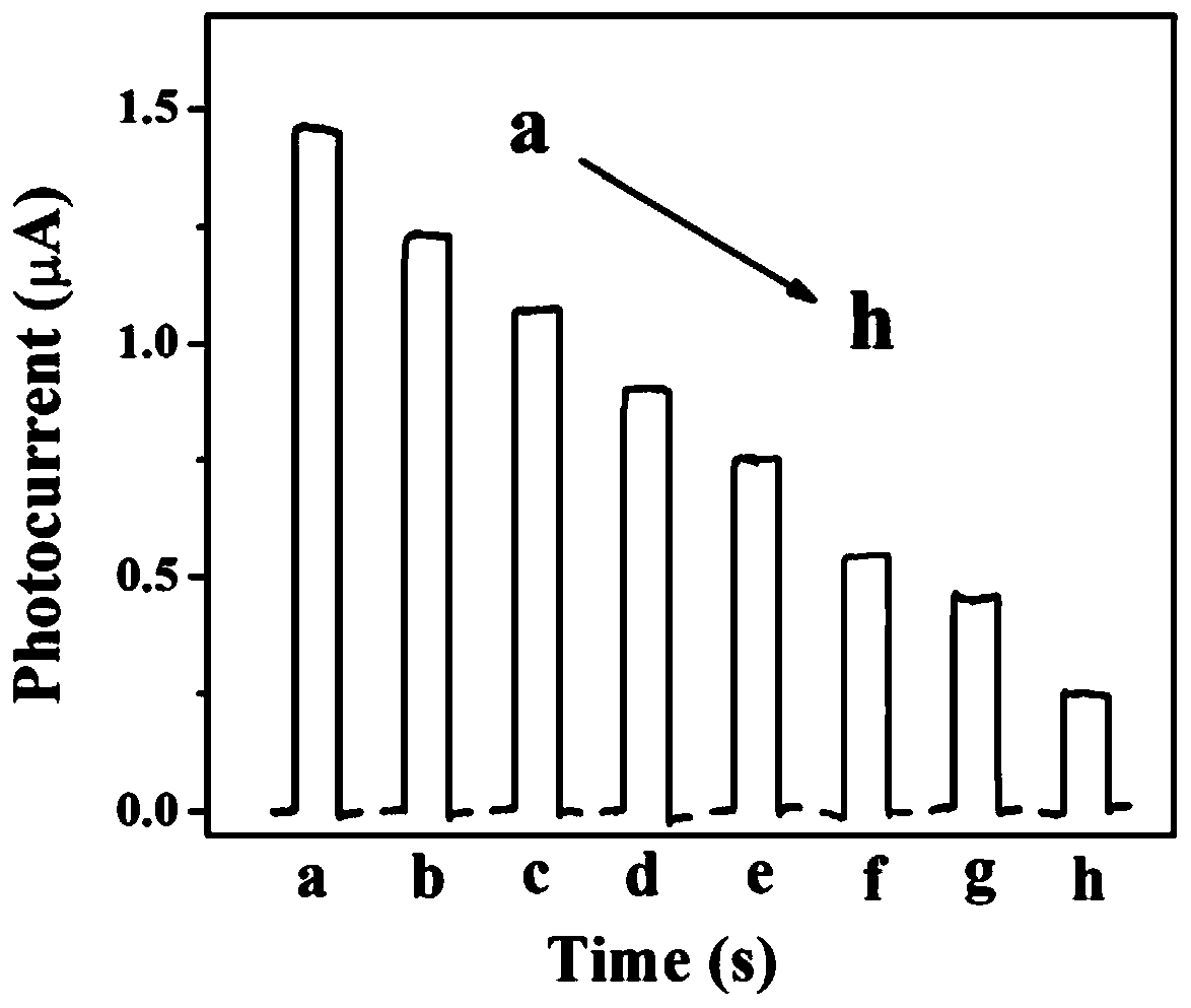 Method for detecting chlorpyrifos based on photoelectrochemical sensor