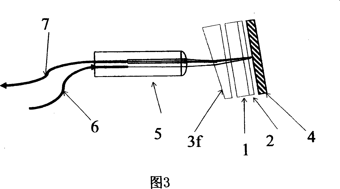 Fiber magnetic optical probe device and its usage system