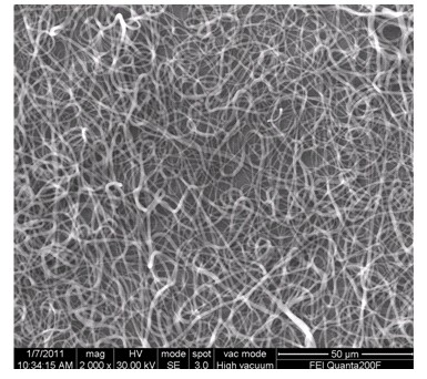 Preparation method and application of polycaprolactone/natural polymer composite porous scaffold