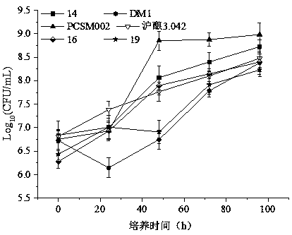 Aspergillus oryzae strain PCSM002 and application thereof