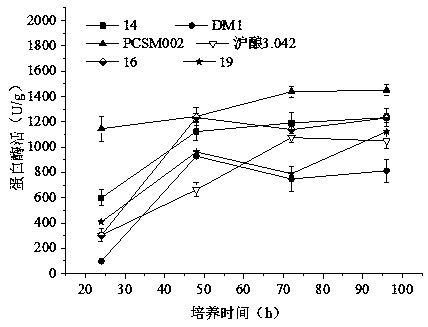 Aspergillus oryzae strain PCSM002 and application thereof