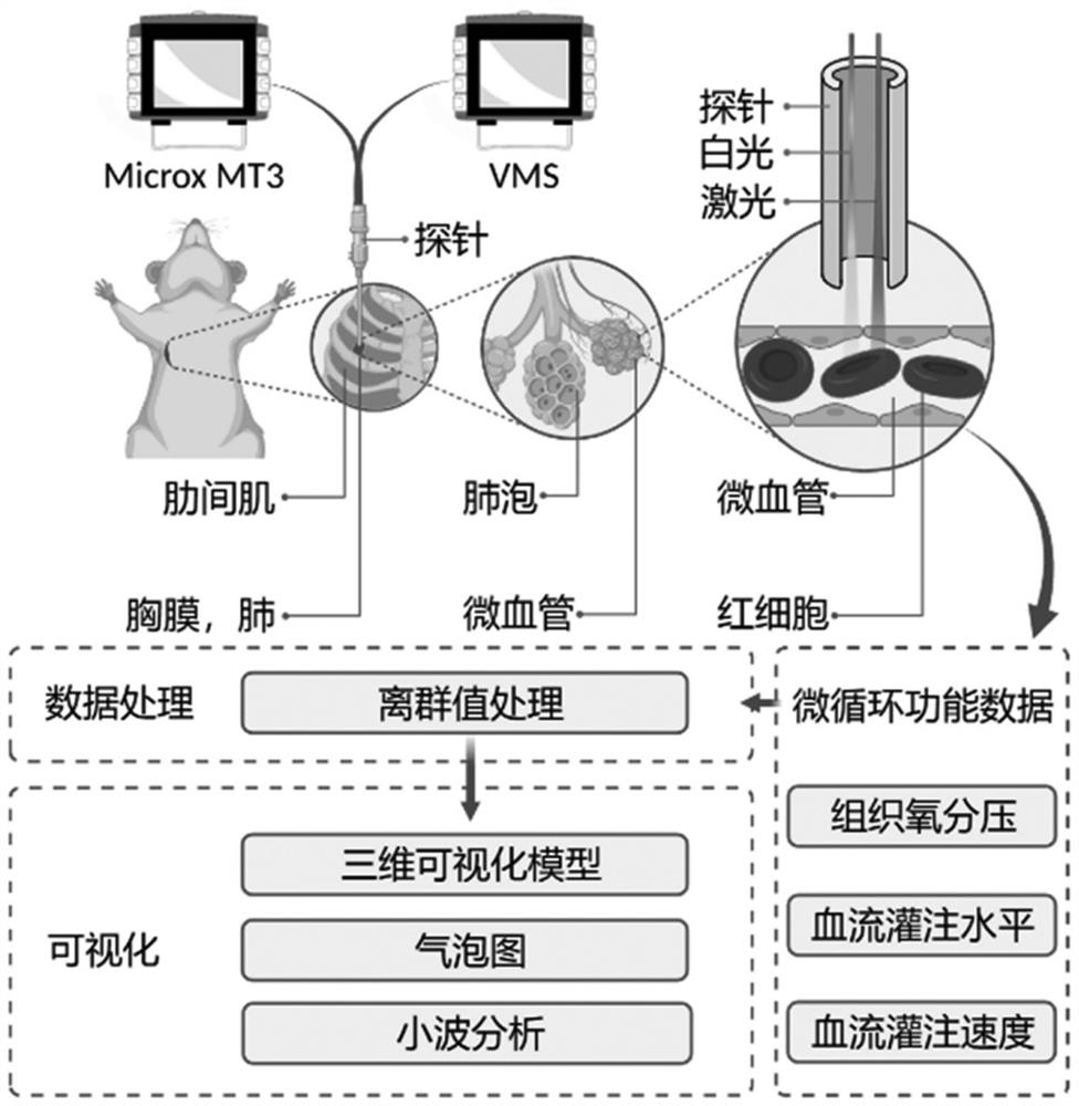 Overall microcirculation function evaluation of lung tissue and visual presentation method