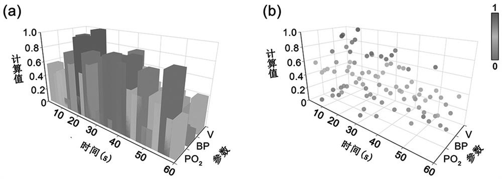 Overall microcirculation function evaluation of lung tissue and visual presentation method