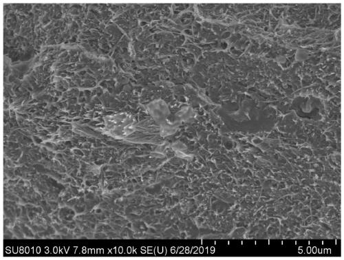 Carbon nano-tube plastic electric-conduction composite material and wet preparation process thereof