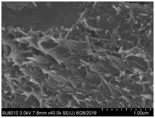 Carbon nano-tube plastic electric-conduction composite material and wet preparation process thereof