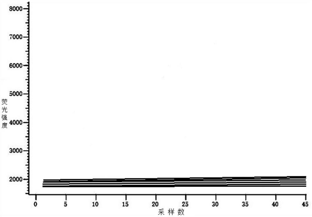 Specific primer, probe and kit for gene detection of novel coronavirus