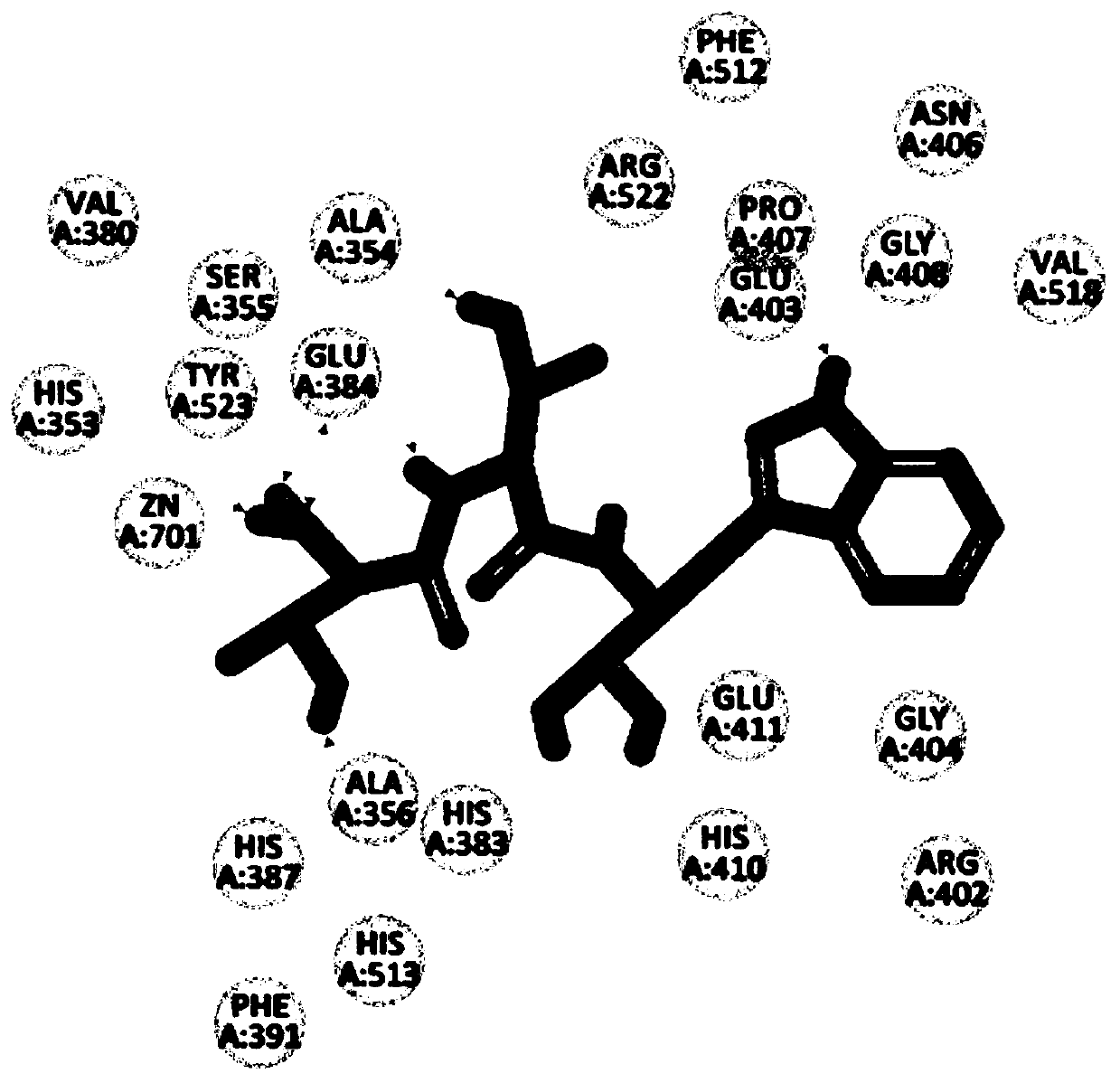 Peptide capable of reducing blood pressure, protein capable of reducing blood pressure, and application of peptide capable of reducing blood pressure