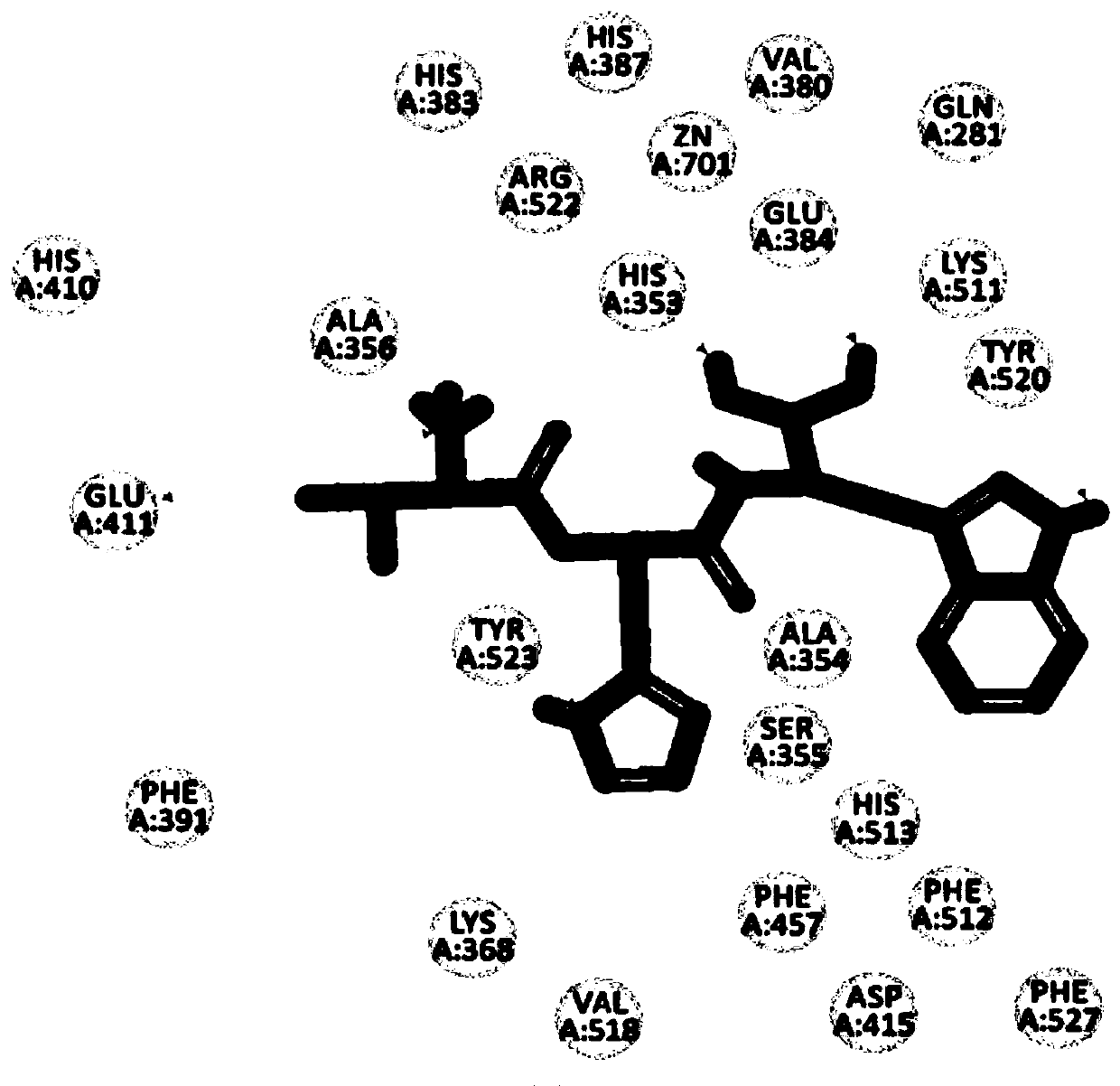 Peptide capable of reducing blood pressure, protein capable of reducing blood pressure, and application of peptide capable of reducing blood pressure