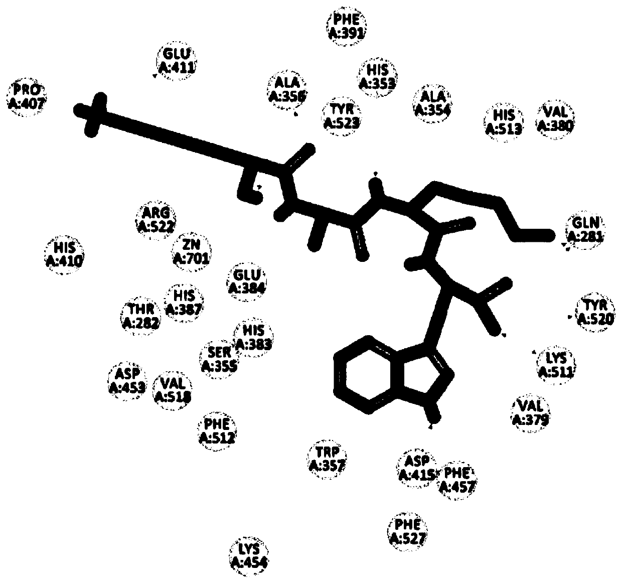 Peptide capable of reducing blood pressure, protein capable of reducing blood pressure, and application of peptide capable of reducing blood pressure