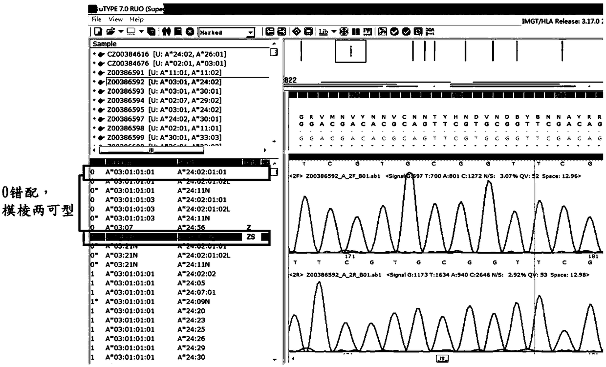 Method of detecting common ambiguous types of HLA (human leukocyte antigen) typing locus A