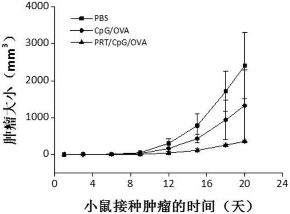 Preparation method and application of antigen and adjuvant co-delivery nano vaccine based on protamine as carrier