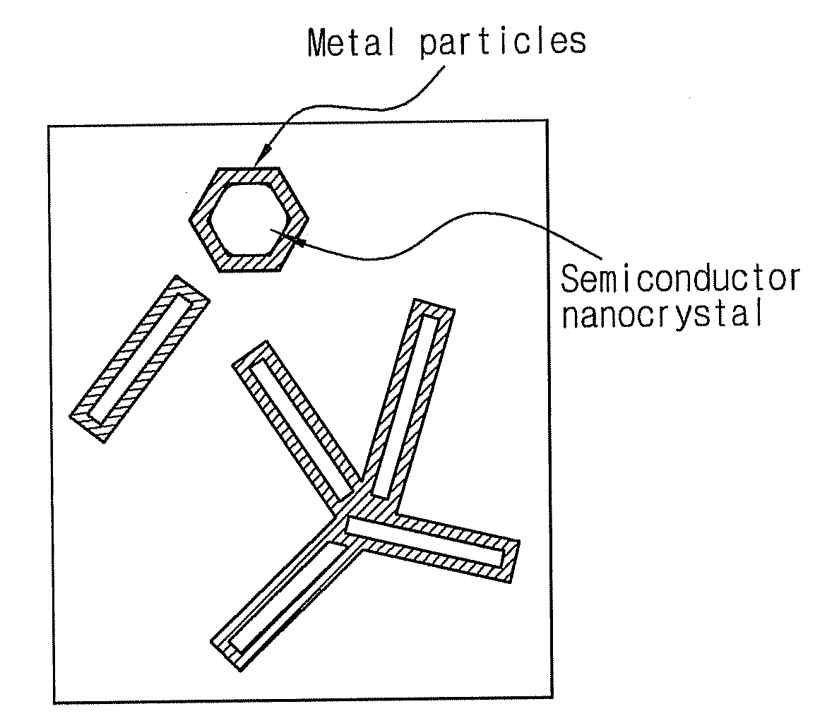 Semiconductor nanocrystal-metal complex and method of preparing the same