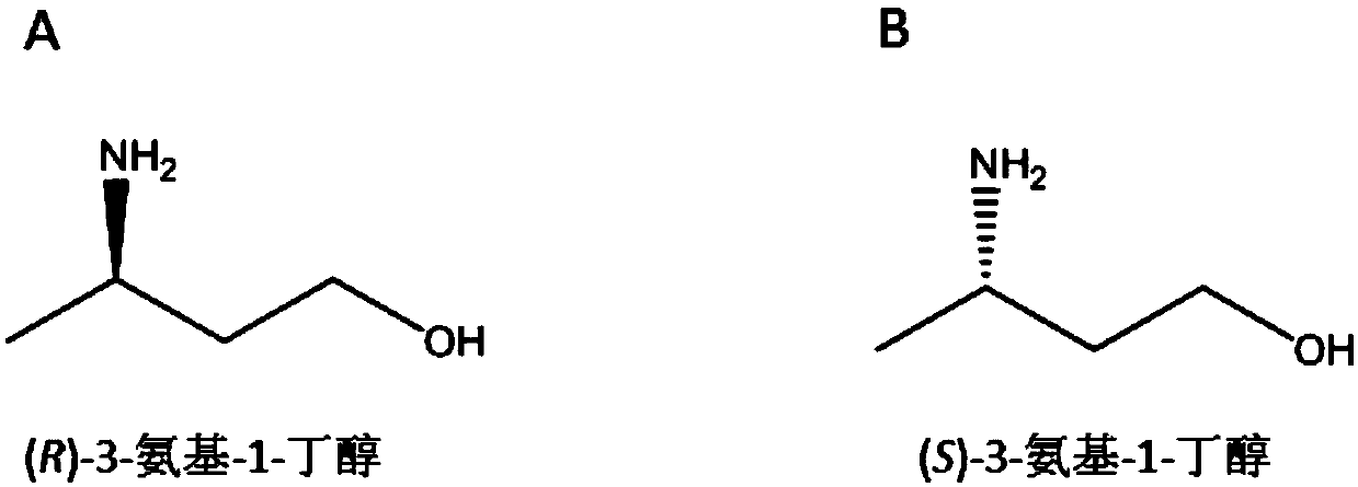 Synthetic method of chiral 3-amino-1-butanol