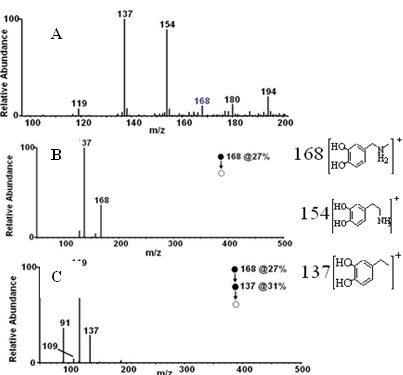 Use of carbon-11 marked N-methyldopamine hydrochloride in preparation of positron medicinal imaging agent