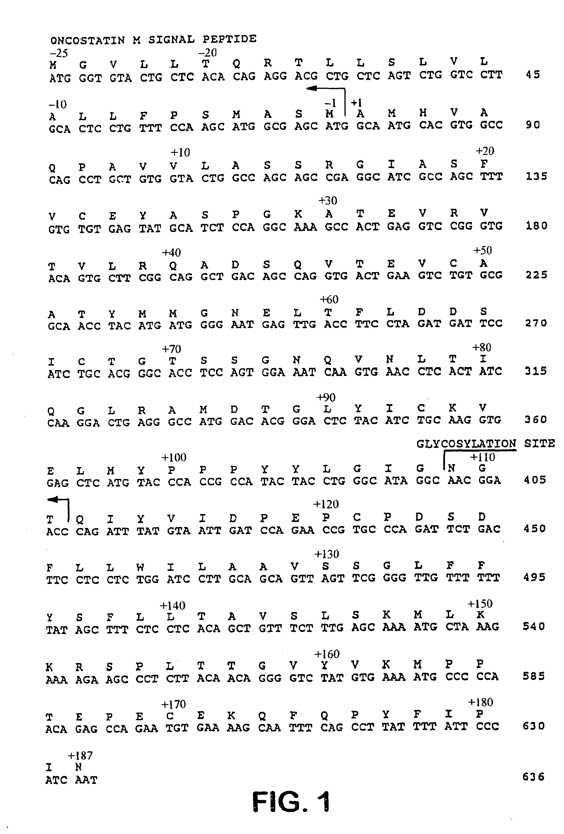 Methods for protecting allogeneic islet transplant using soluble CTLA4 mutant molecules