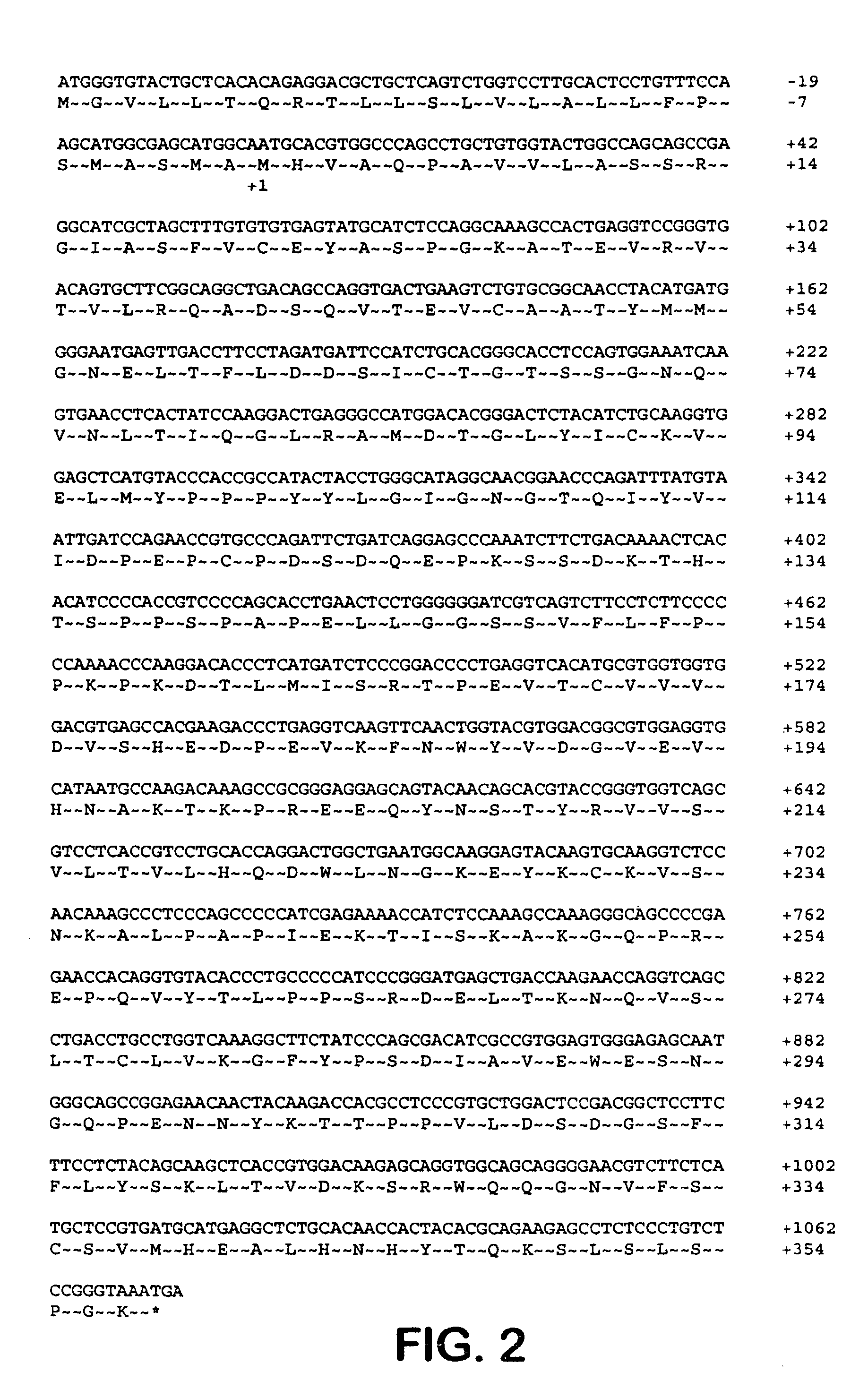 Methods for protecting allogeneic islet transplant using soluble CTLA4 mutant molecules