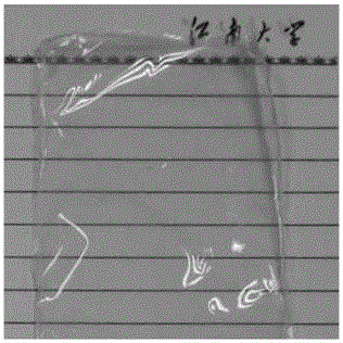 Preparation method of novel degradable bio-based fresh-keeping logistics packaging material