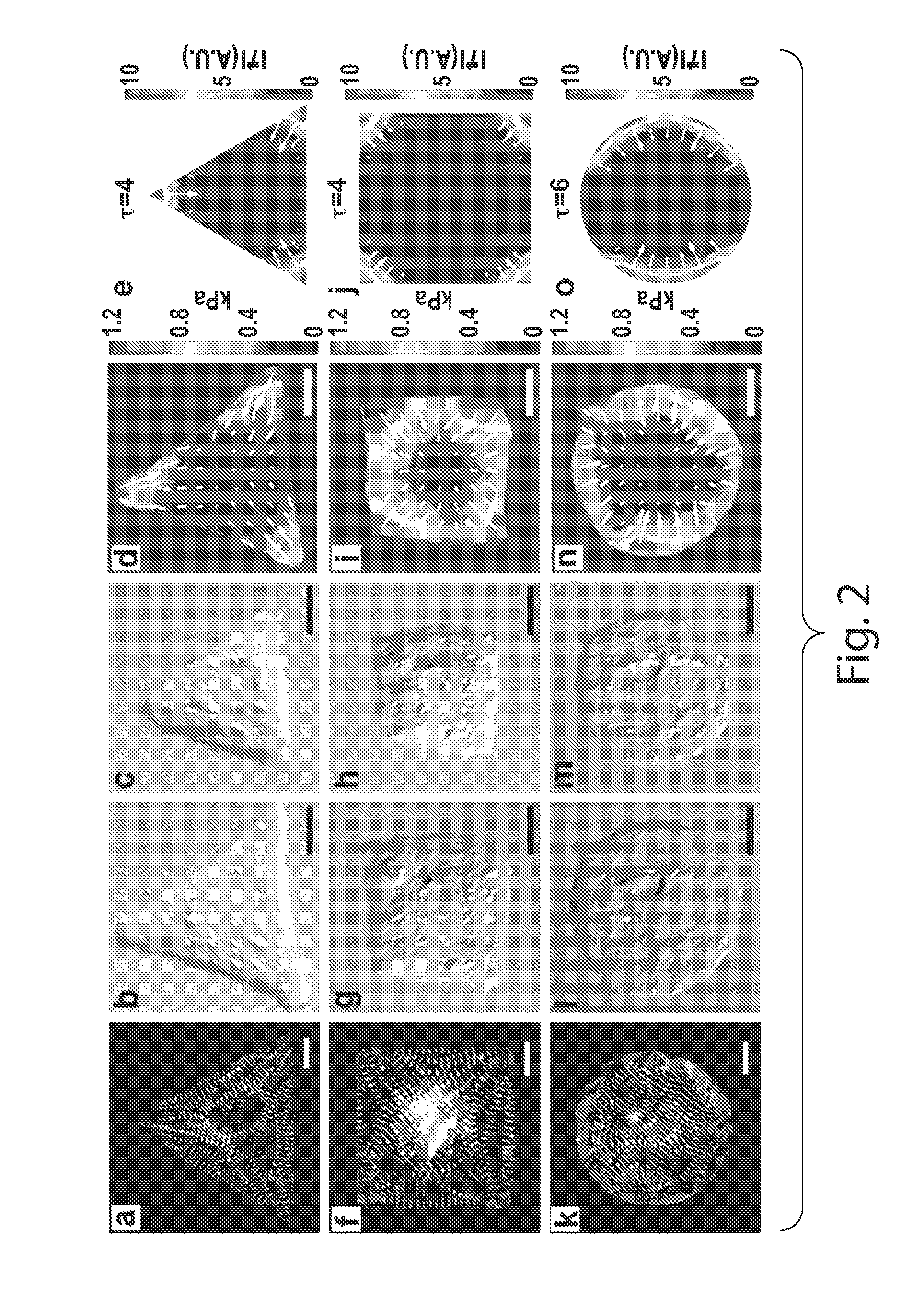 Methods of generating patterned soft substrates and uses thereof