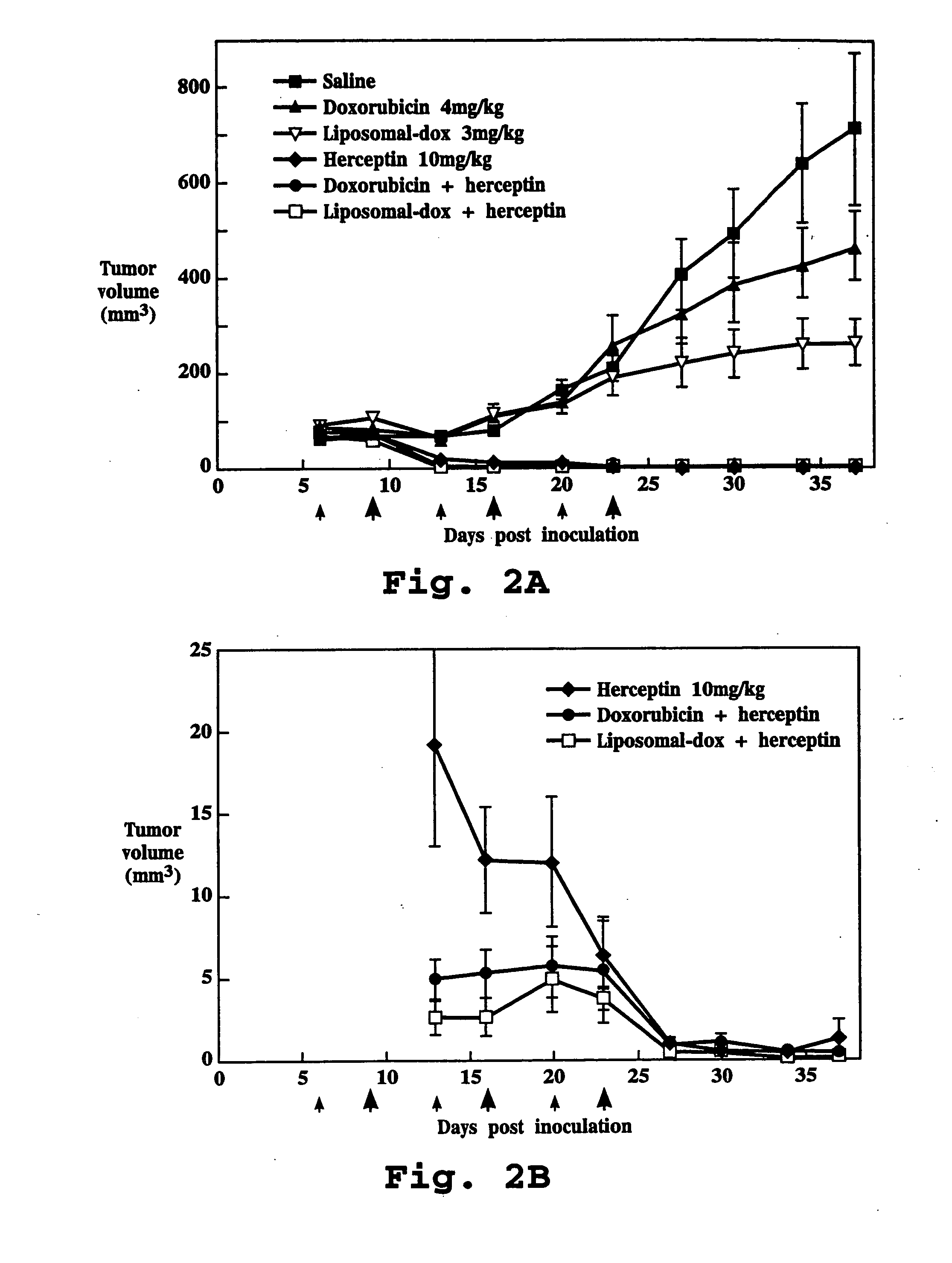 Method for potentiating activity of a chemotherapeutic drug