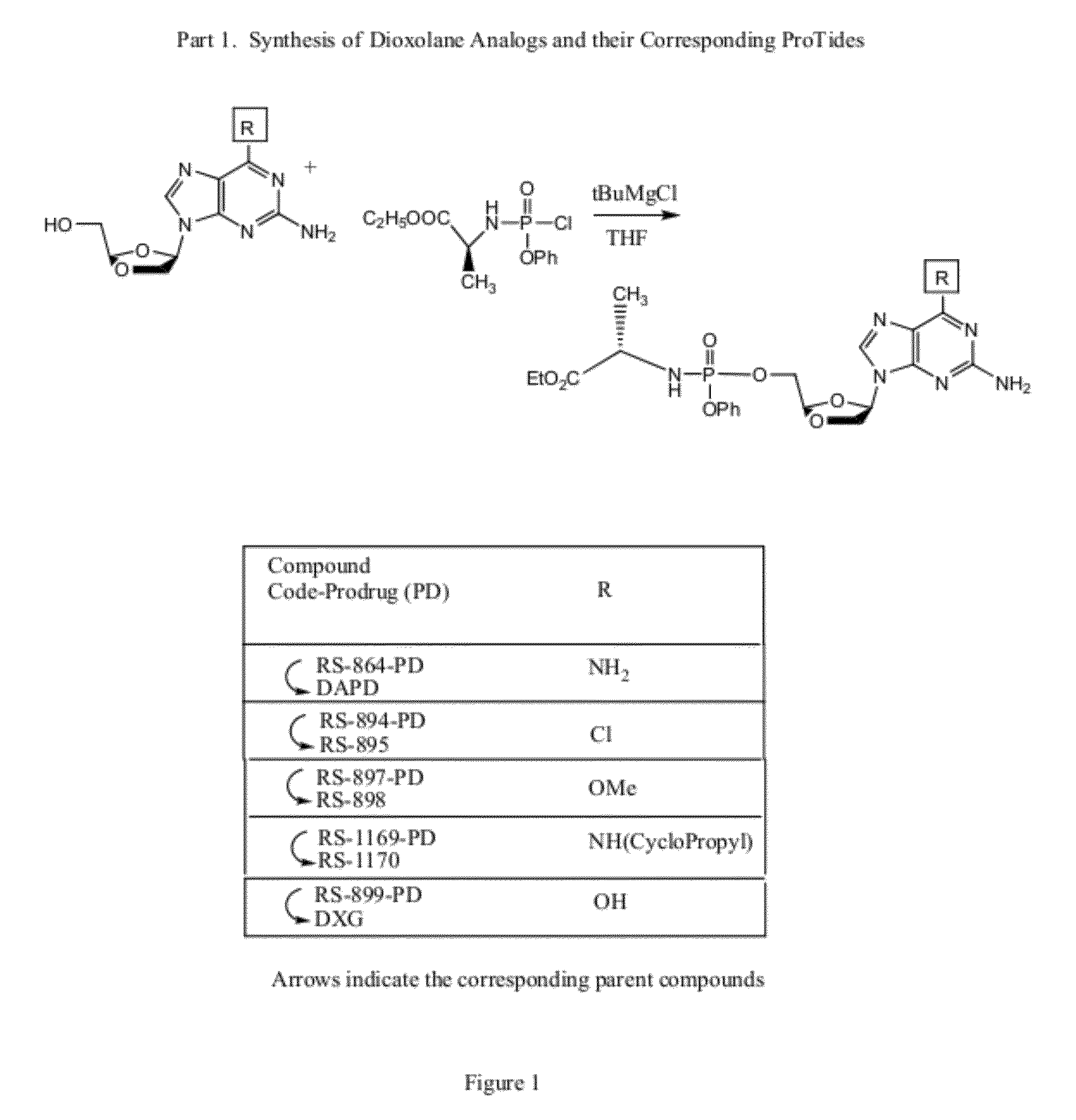 Monophosphate prodrugs of dapd and analogs thereof