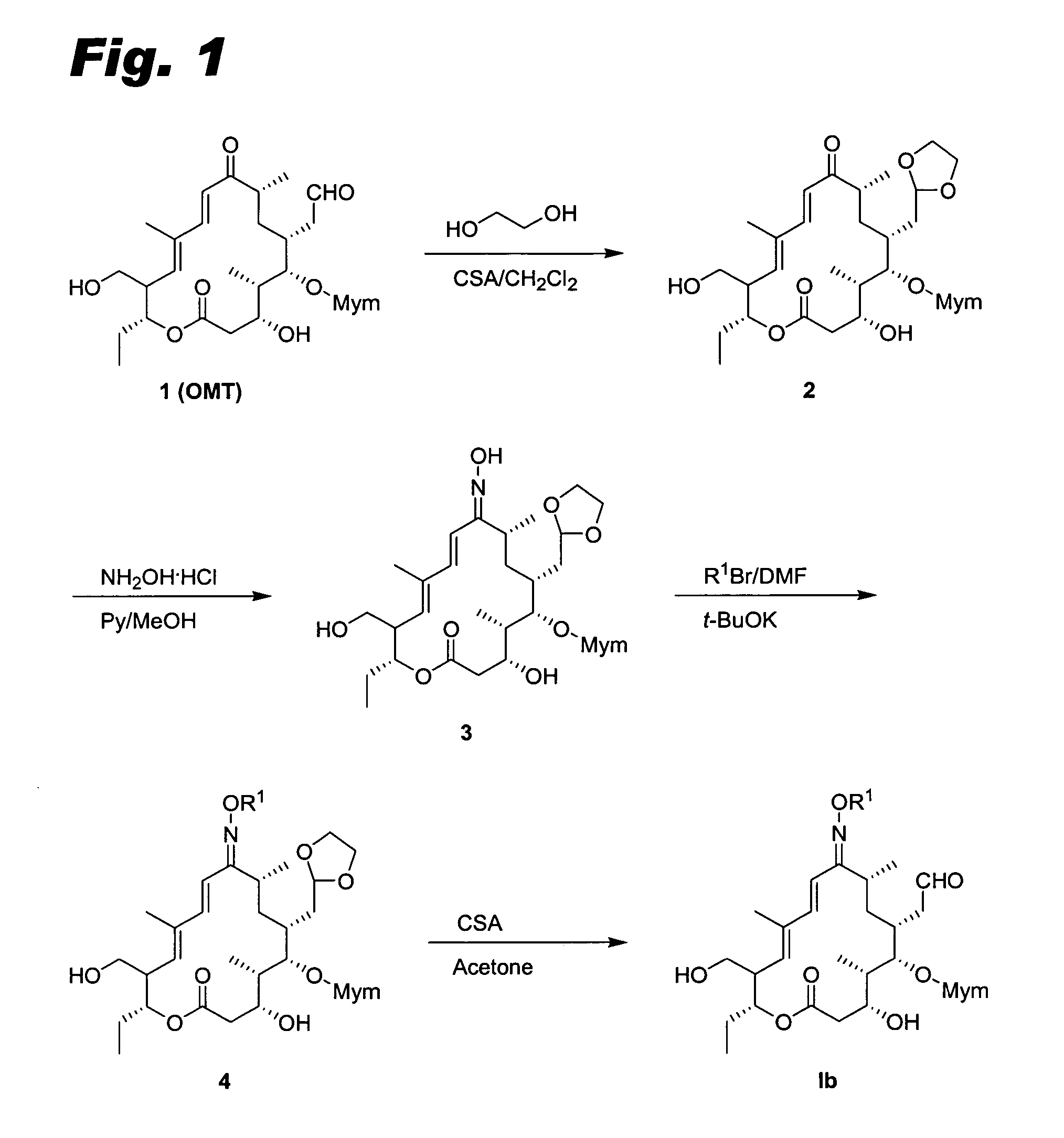 Sixteen-member macrolide antiinfective agents