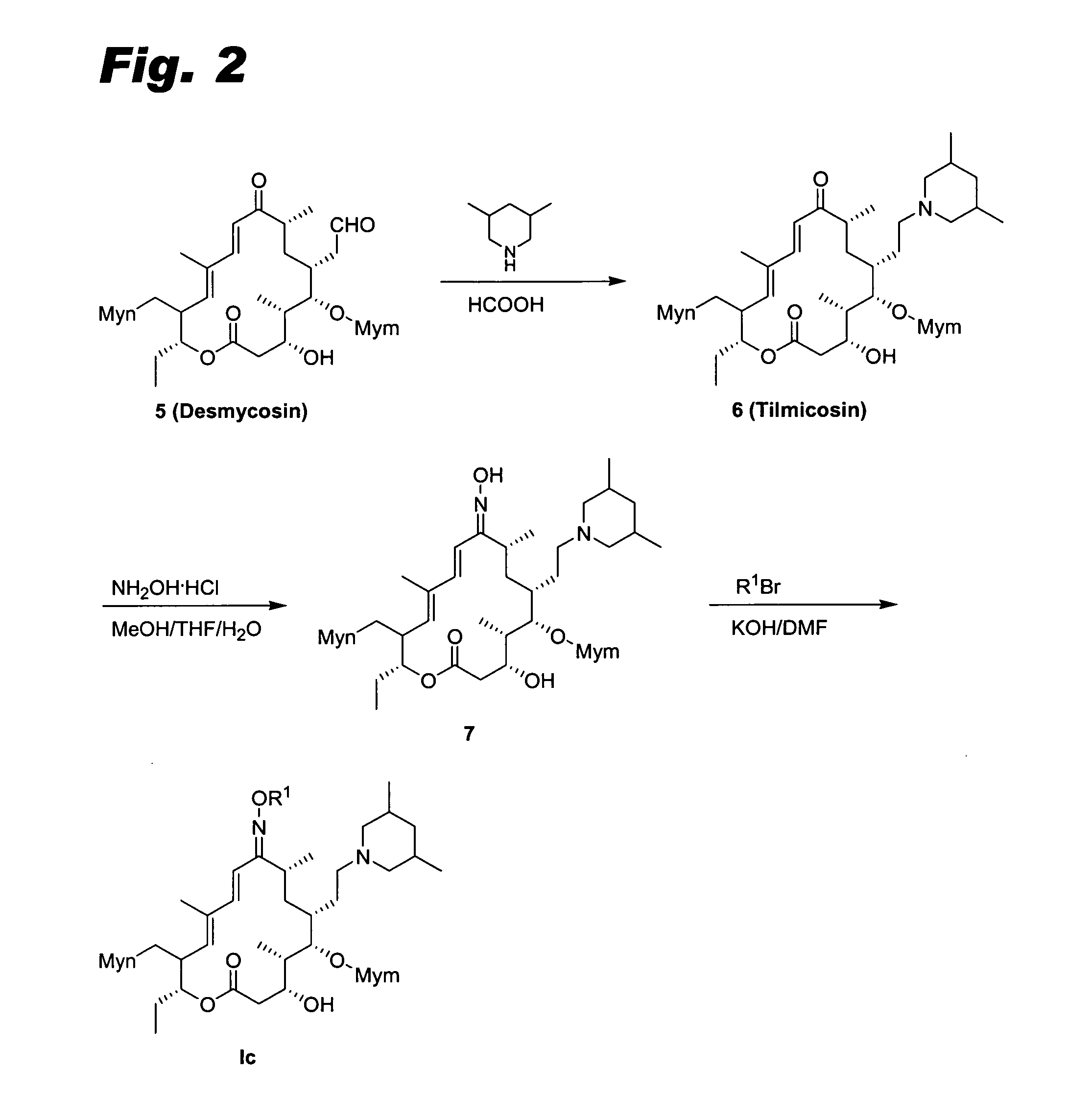 Sixteen-member macrolide antiinfective agents