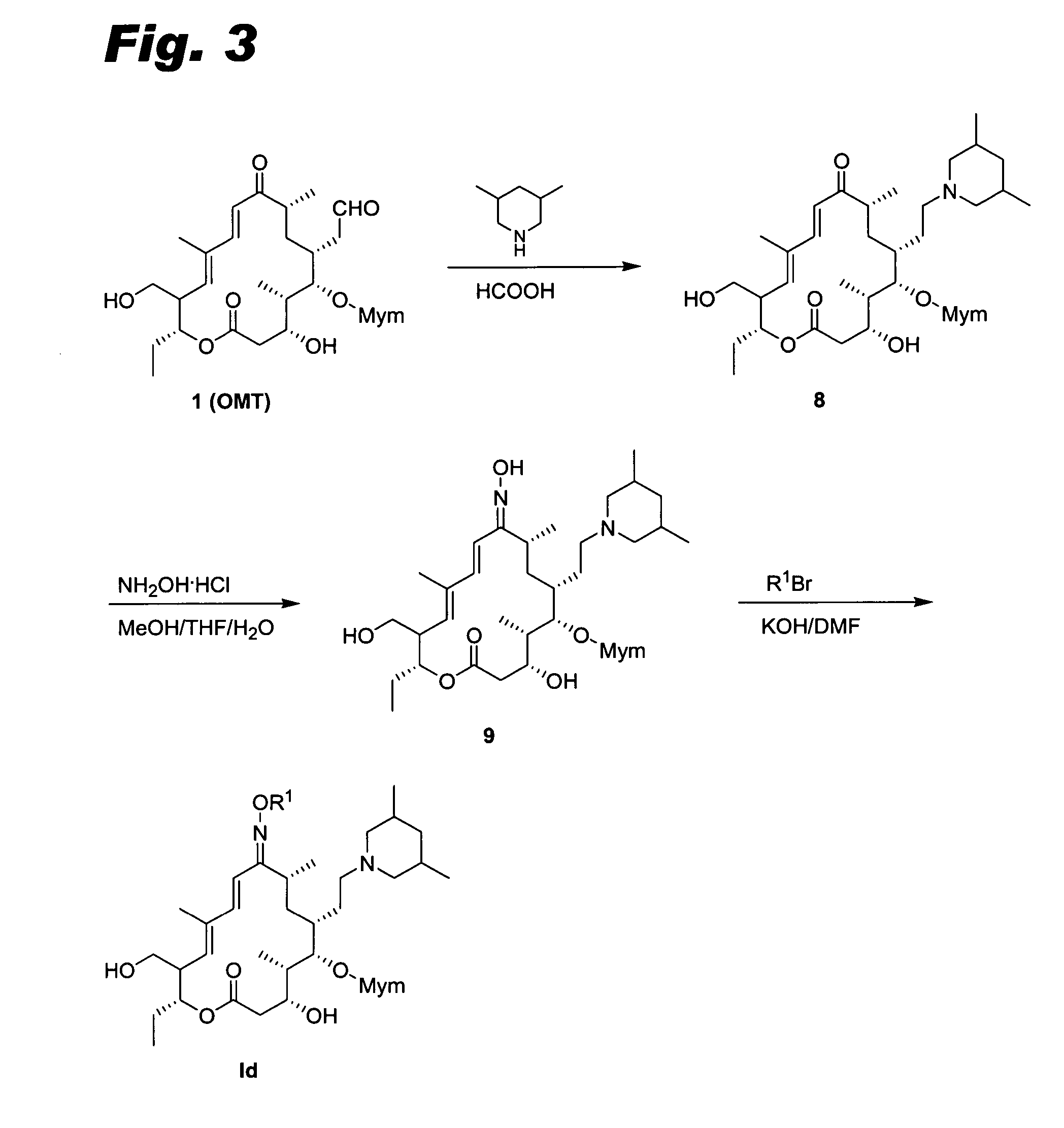 Sixteen-member macrolide antiinfective agents