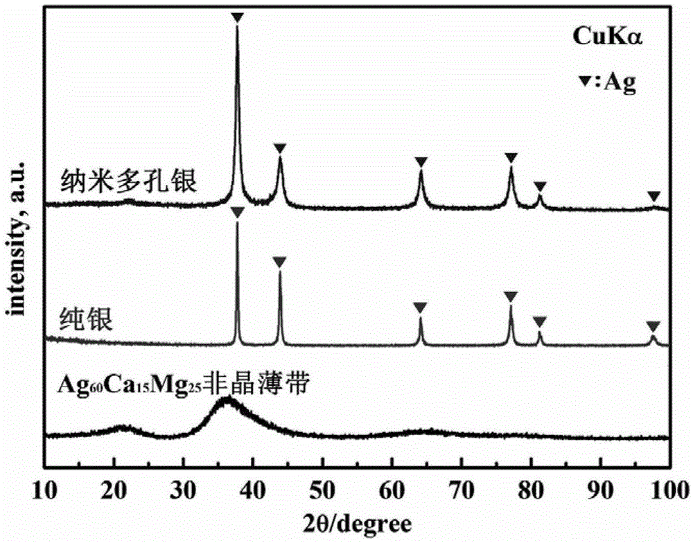 Method for preparing nano porous silver based on Ag-based amorphous alloy