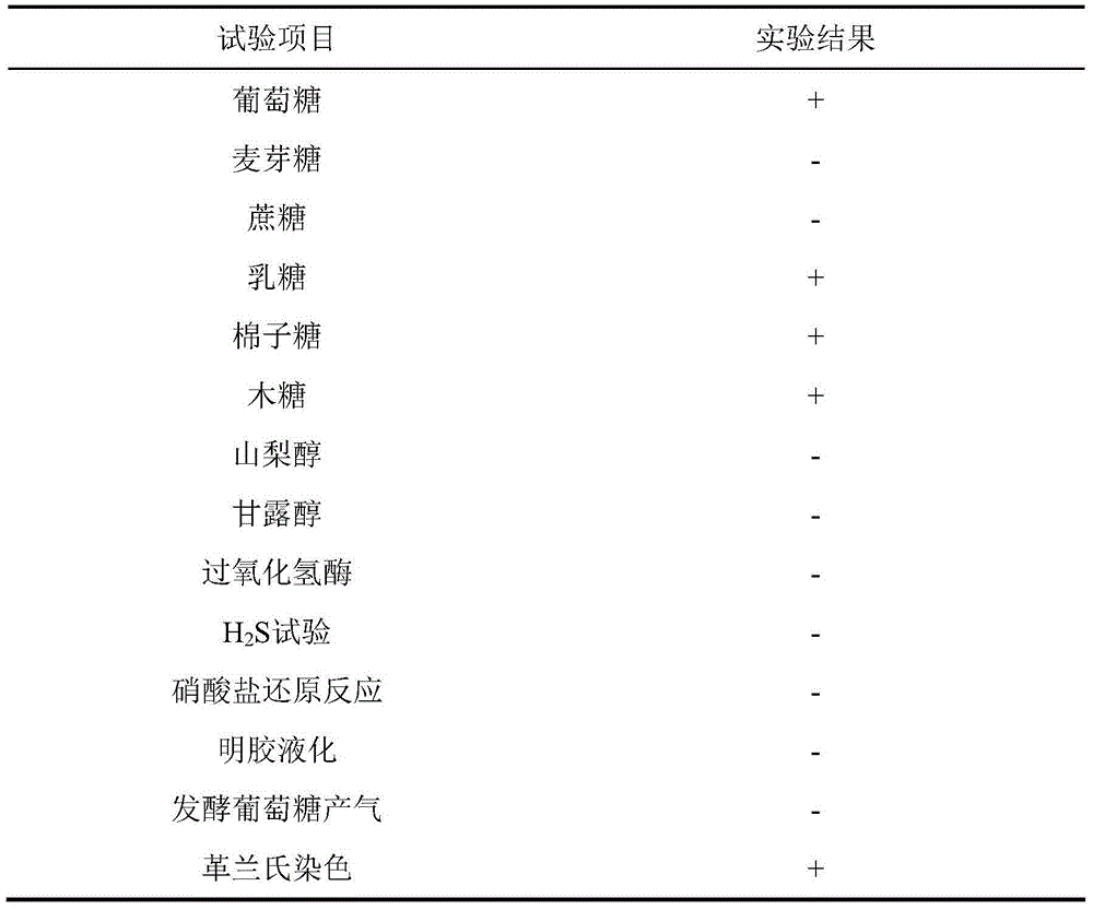 Method for preserving chilli sauce by employing lactobacillus fermentation and tea oil