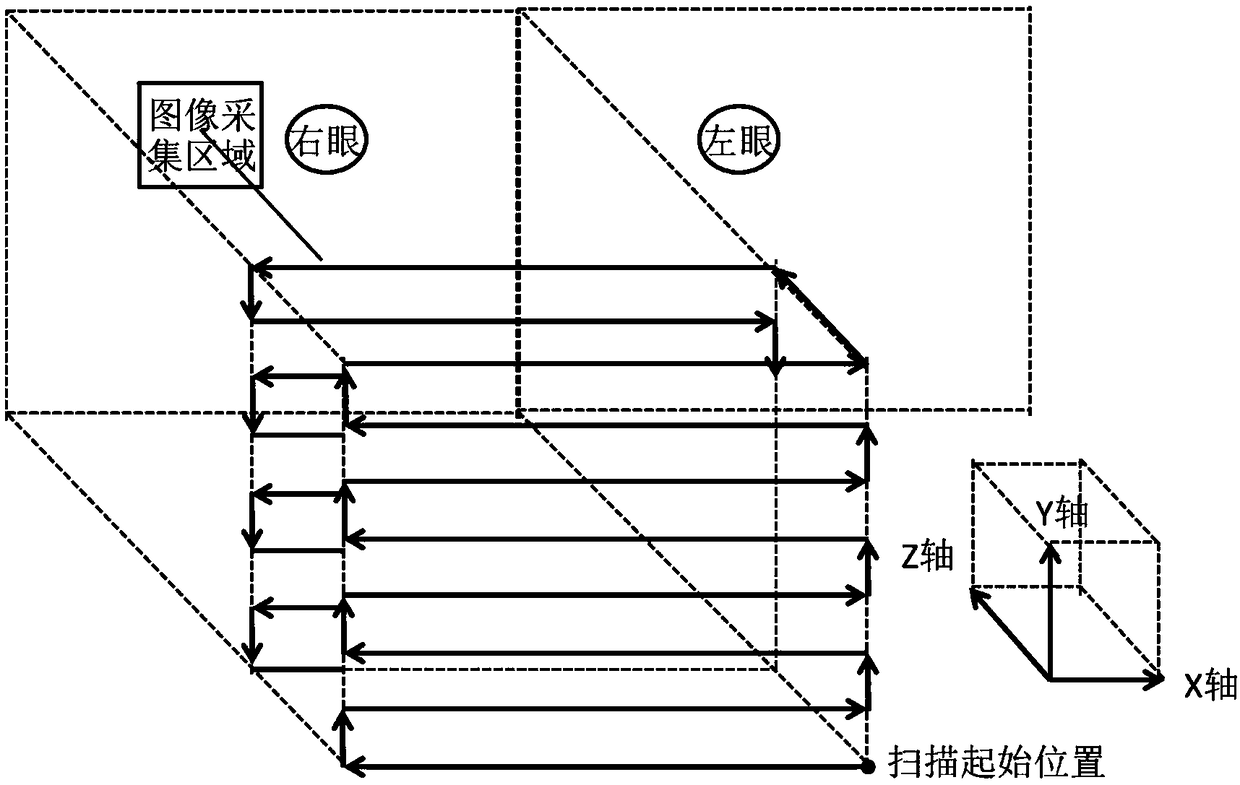 Automatic human eye tracking system and method for computer optometry instrument