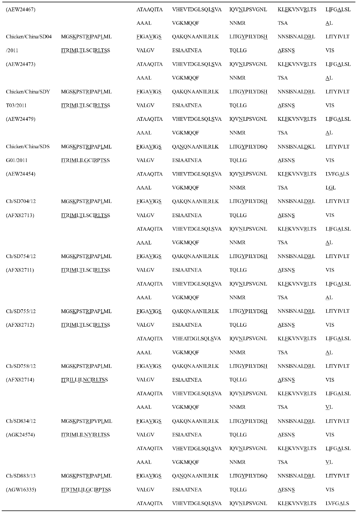 Isolation, identification and purification method of a genotype vii chicken Newcastle disease virus strain and its application