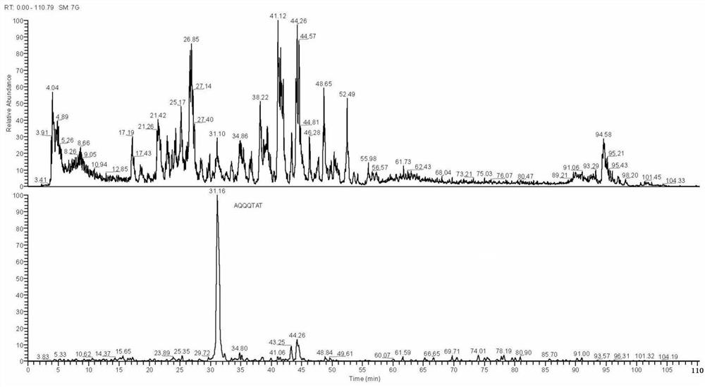 Preparation method and application of LGG fermentation product containing immunomodulatory peptide functional components