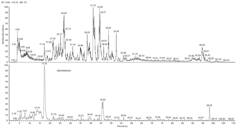 Preparation method and application of LGG fermentation product containing immunomodulatory peptide functional components