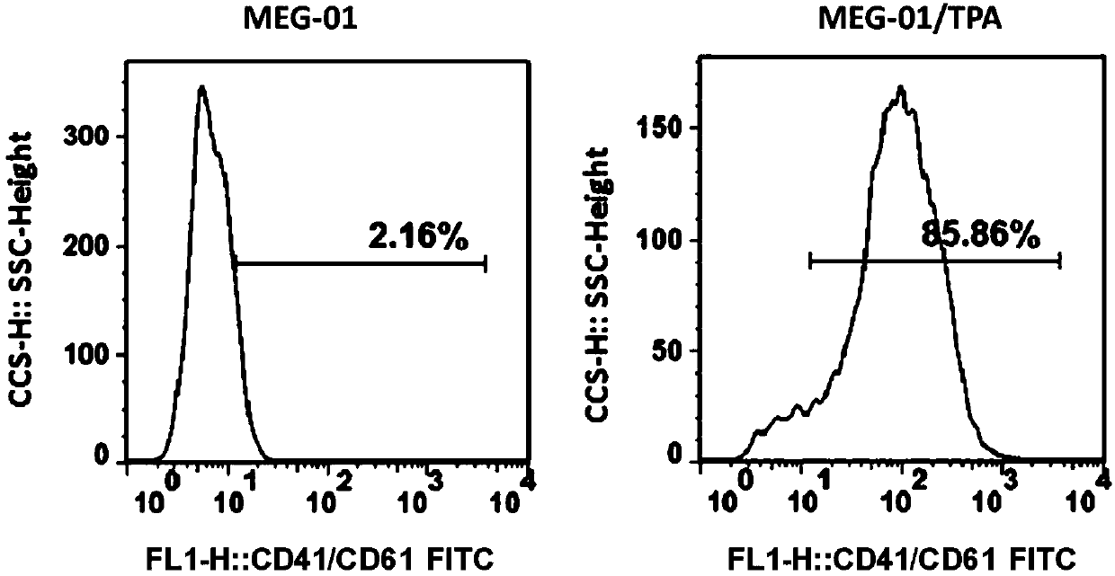 miRNA regulated and controlled blood platelet Gelsolin and application thereof to screening antiplatelet medicines