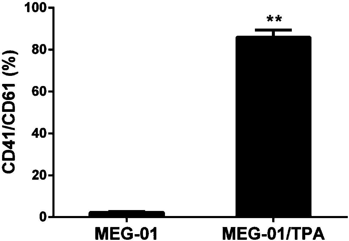 miRNA regulated and controlled blood platelet Gelsolin and application thereof to screening antiplatelet medicines