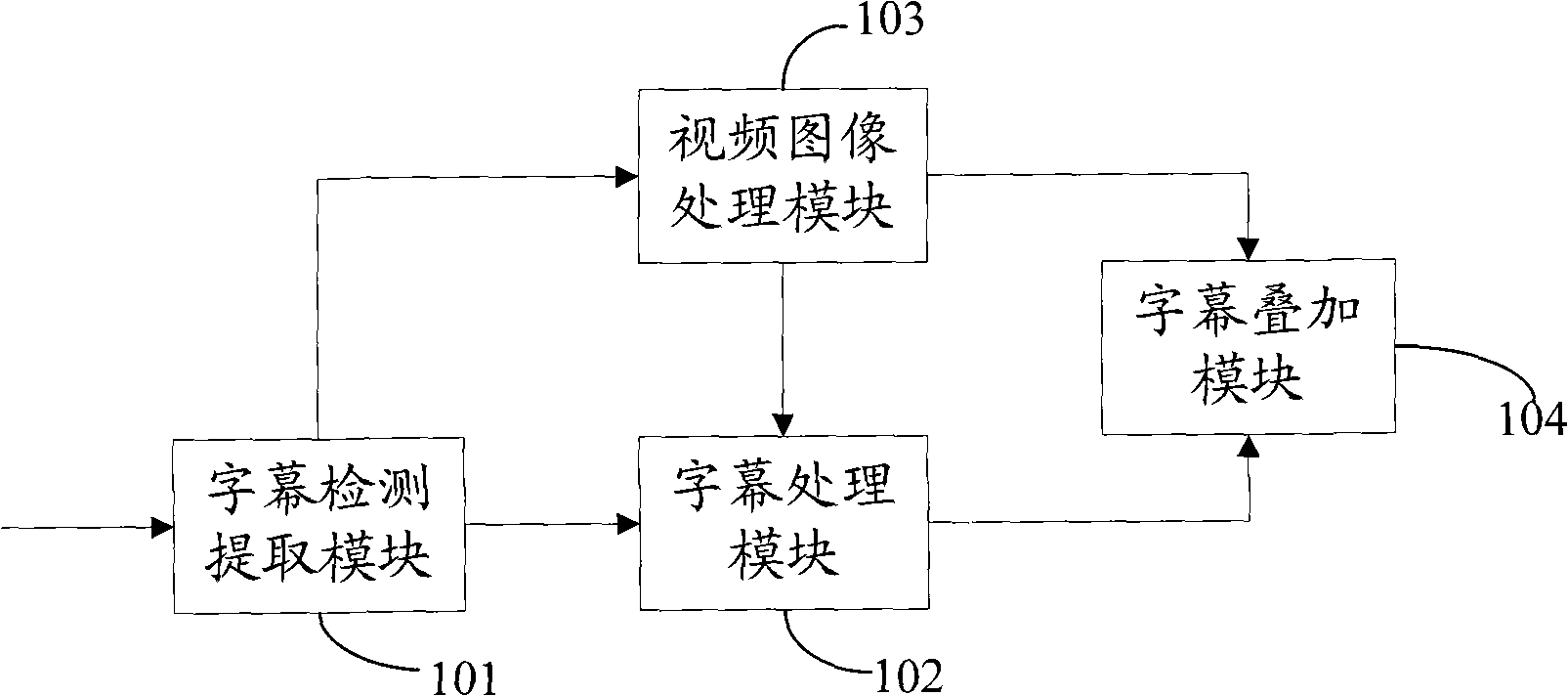 Video subtitle processing apparatus and method