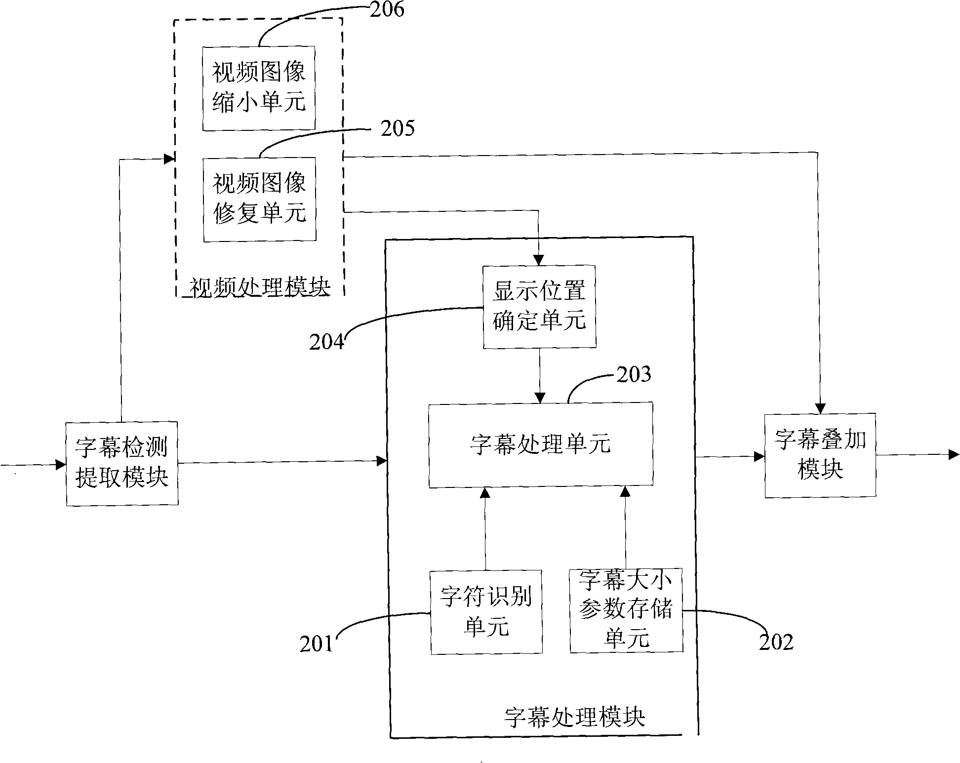 Video subtitle processing apparatus and method