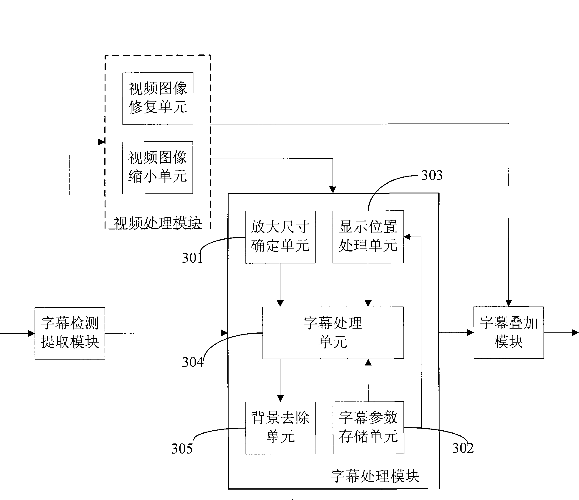 Video subtitle processing apparatus and method