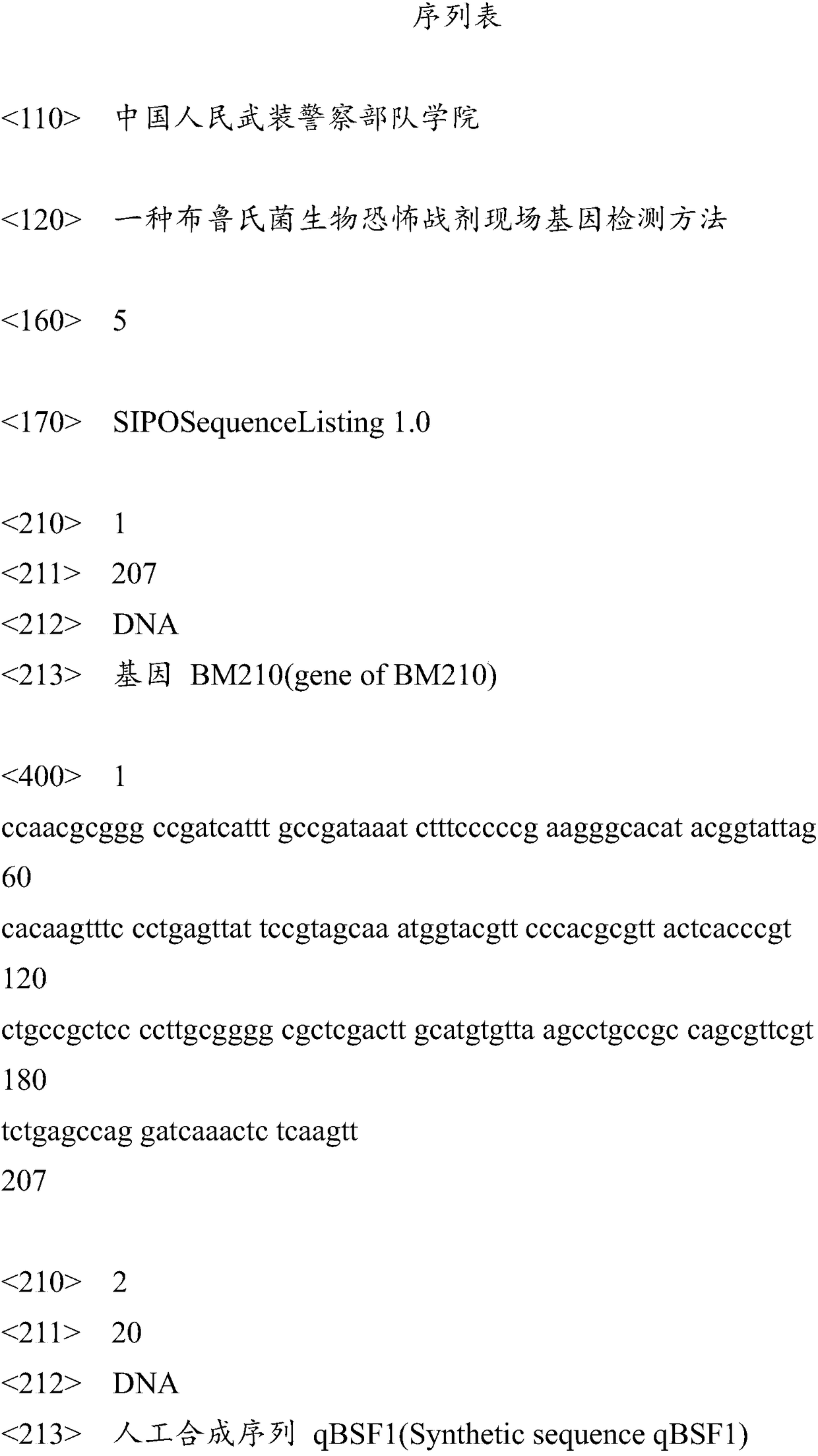 Brucella biological terrorism warfare agent field gene detection method