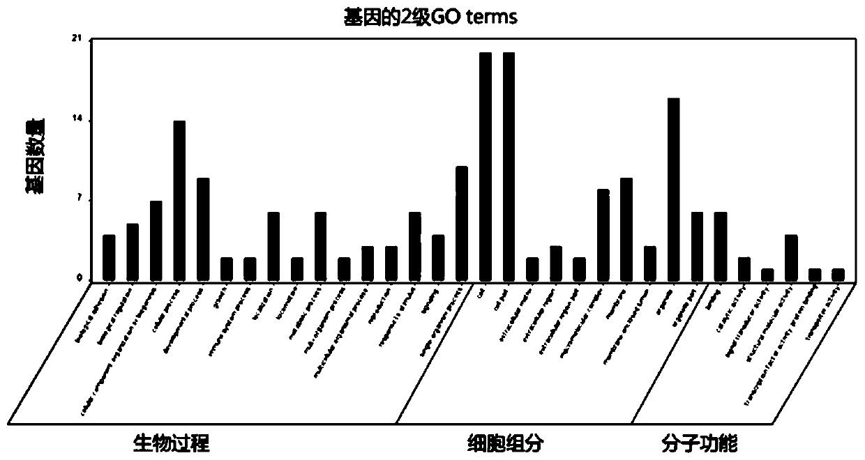 Biological information analysis method for human single-gene genetic disease detection