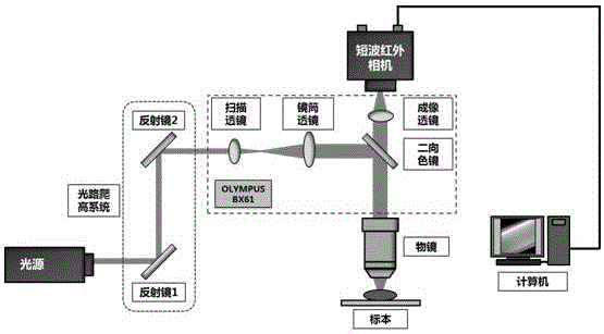 Shortwave infrared fluorescence microimaging method