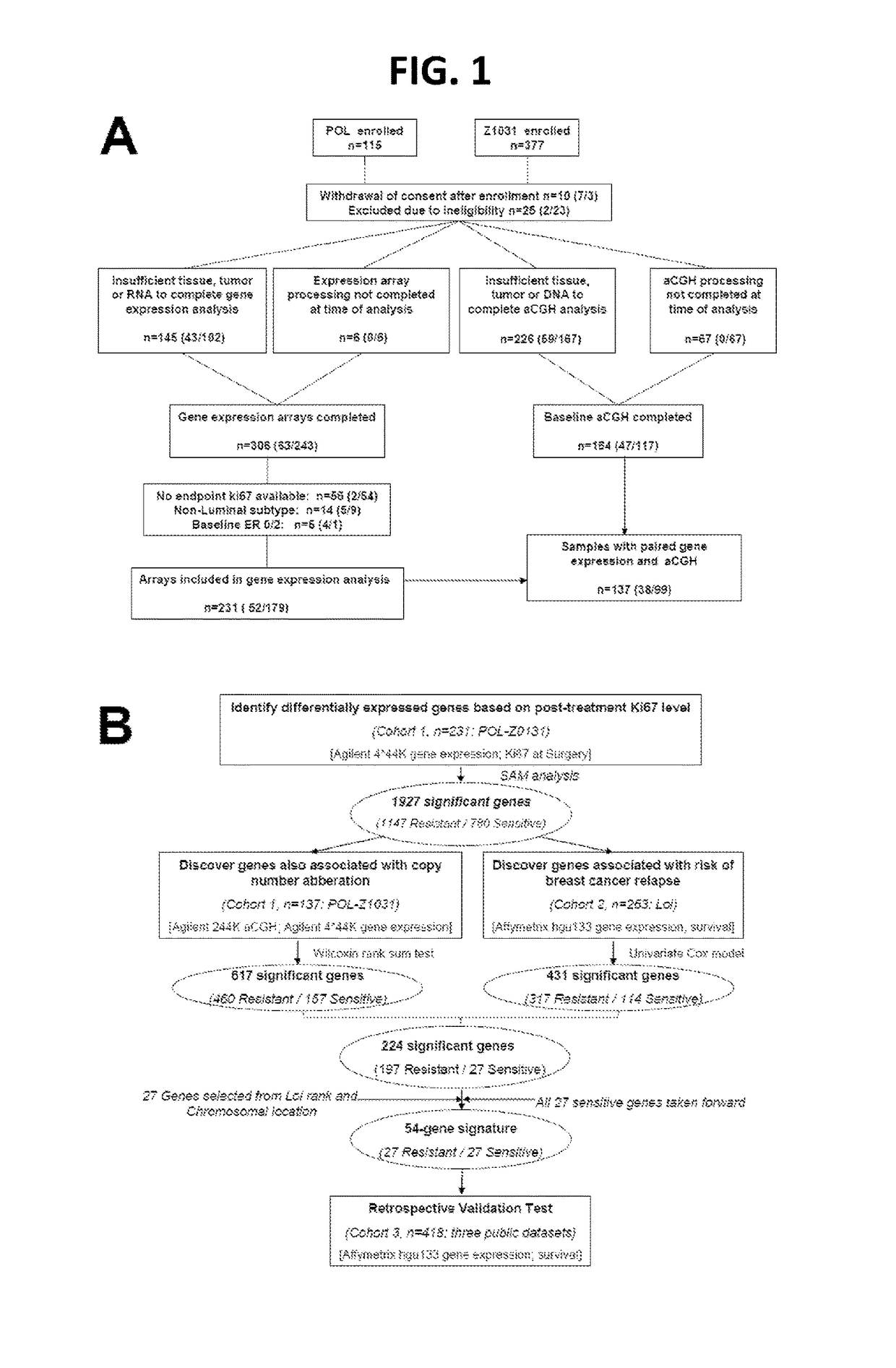 Copy number aberration driven endocrine response gene signature