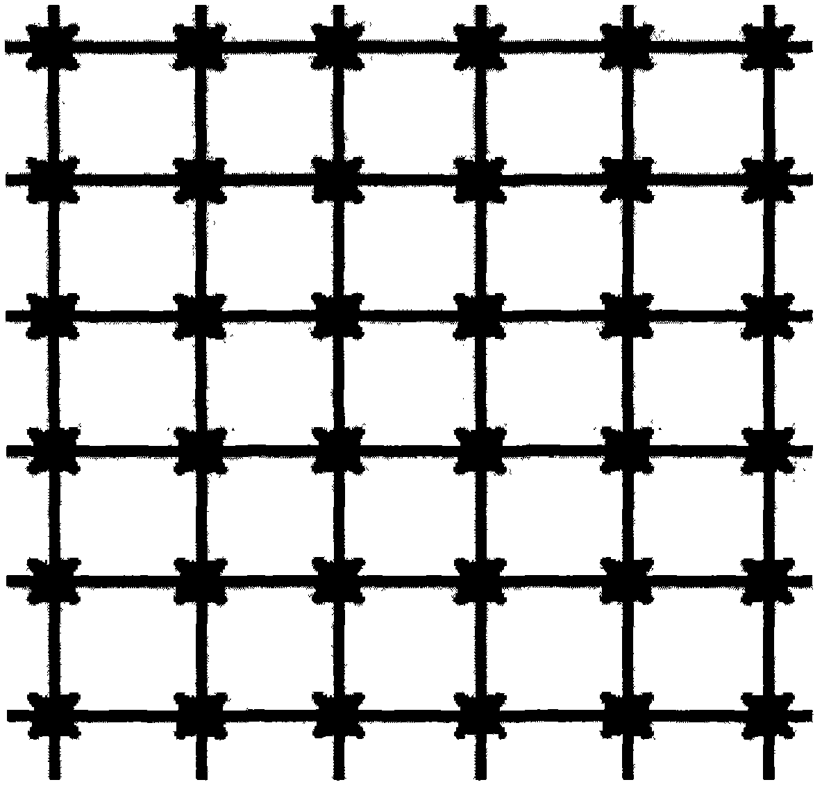 Stinging two-way stretching plastic protective screen and manufacturing method thereof