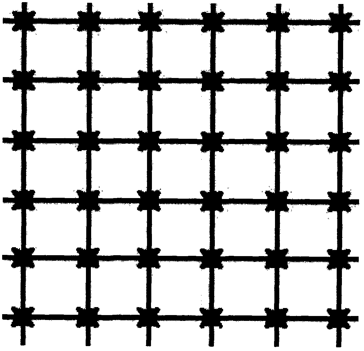 Stinging two-way stretching plastic protective screen and manufacturing method thereof