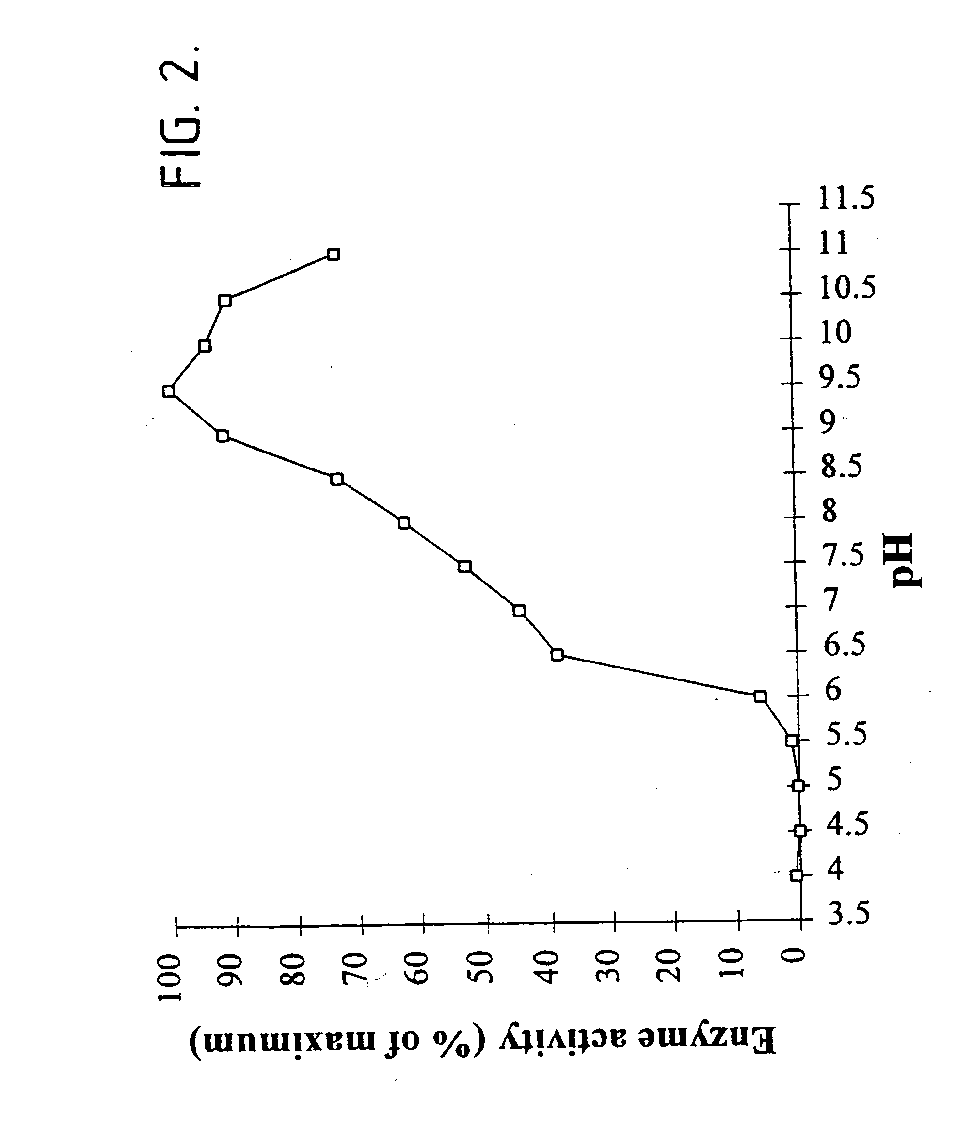 Non-maltogenic exoamylases and their use in retarding retrogradation of starch