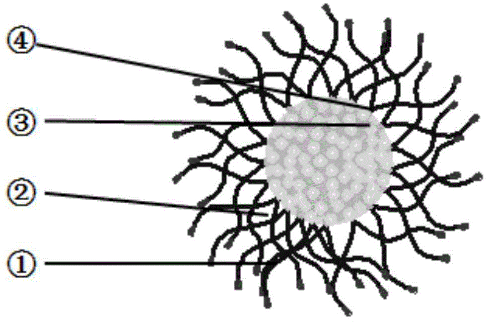 Self-assembled targeted nanometer drug carrier micelles