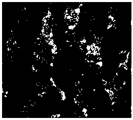 Method for testing hydrogen sulfide stress corrosion resistance of oil well pipe